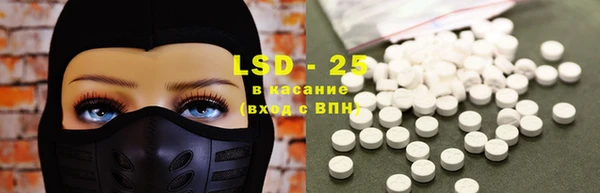 стаф Абинск