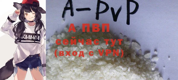 стаф Абинск