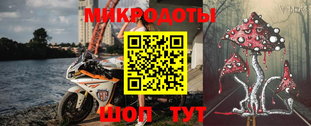 Псилоцибиновые грибы Cubensis Гагарин